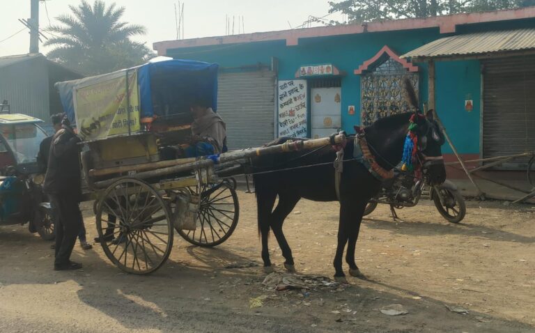 विकास के दौड़ में परंपरा को पूरी तरह कुचल देना भी विकास नहीं, महेशपुर अंबेडकर चौक पर दिखा टमटम