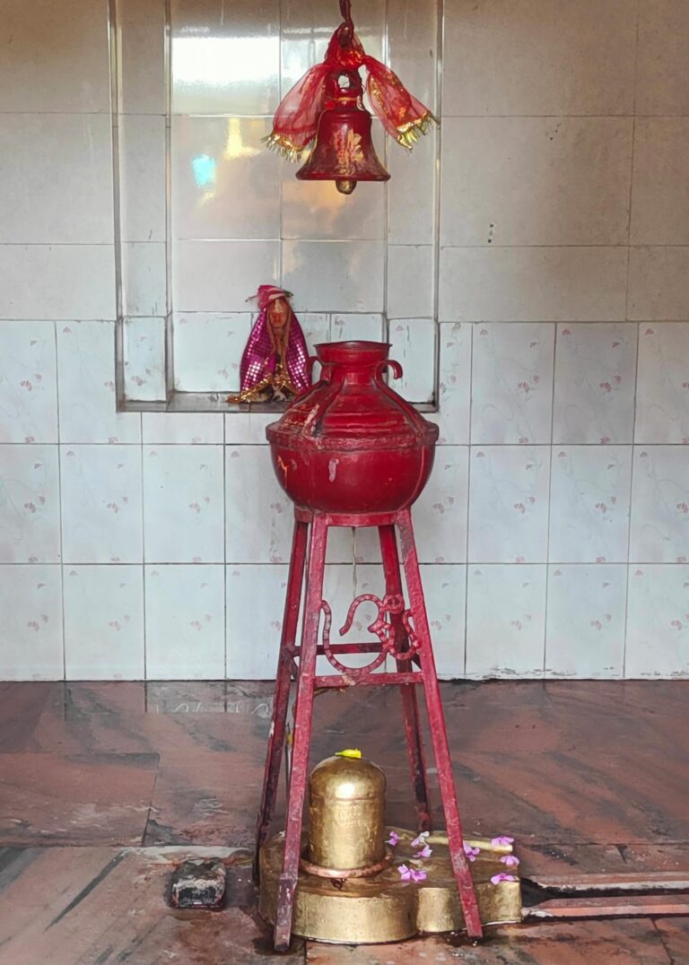 *आज का खास : आज बिन विचारे कीजिए कोई भी शुभ या मांगलिक कार्य, मिलेगा अक्षय फल*