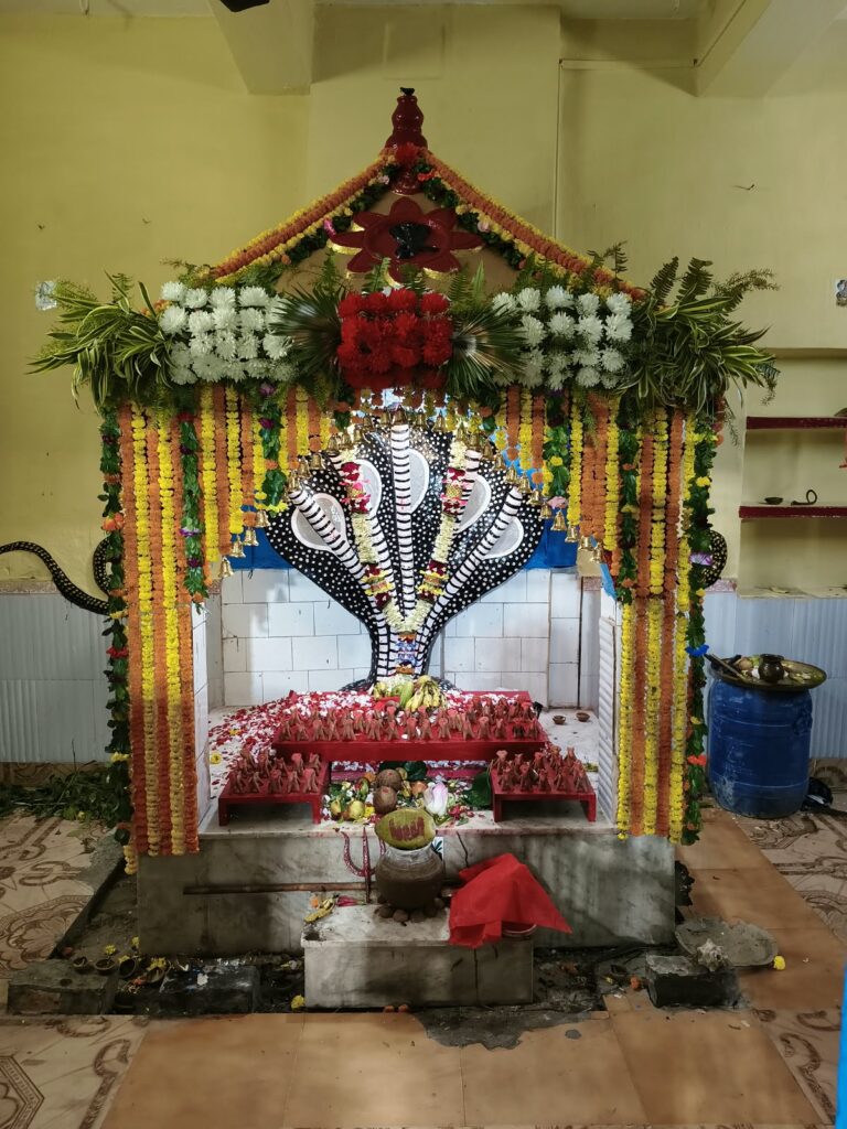 भक्ति,परंपरा और आस्था के साथ बागतीपाड़ा में मनसा पूजा का आयोजन।