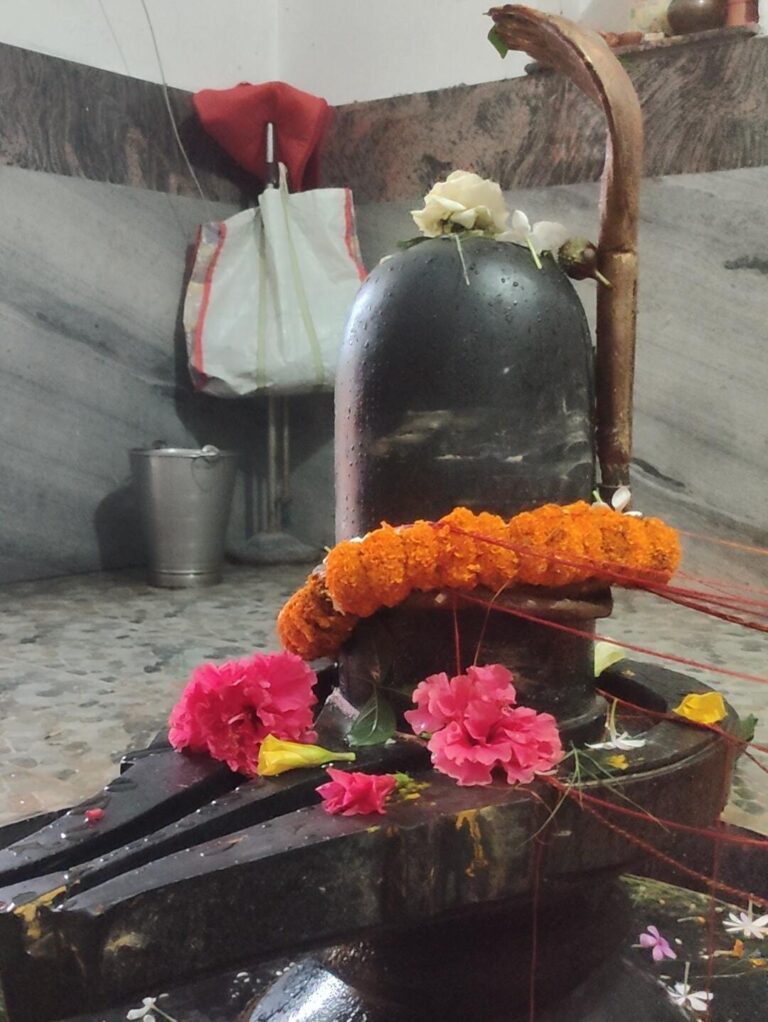 आज का खास : भाद्रपद महीने में पांच शनिवार घटनाकारी, बढ़ेगी दुर्घटना